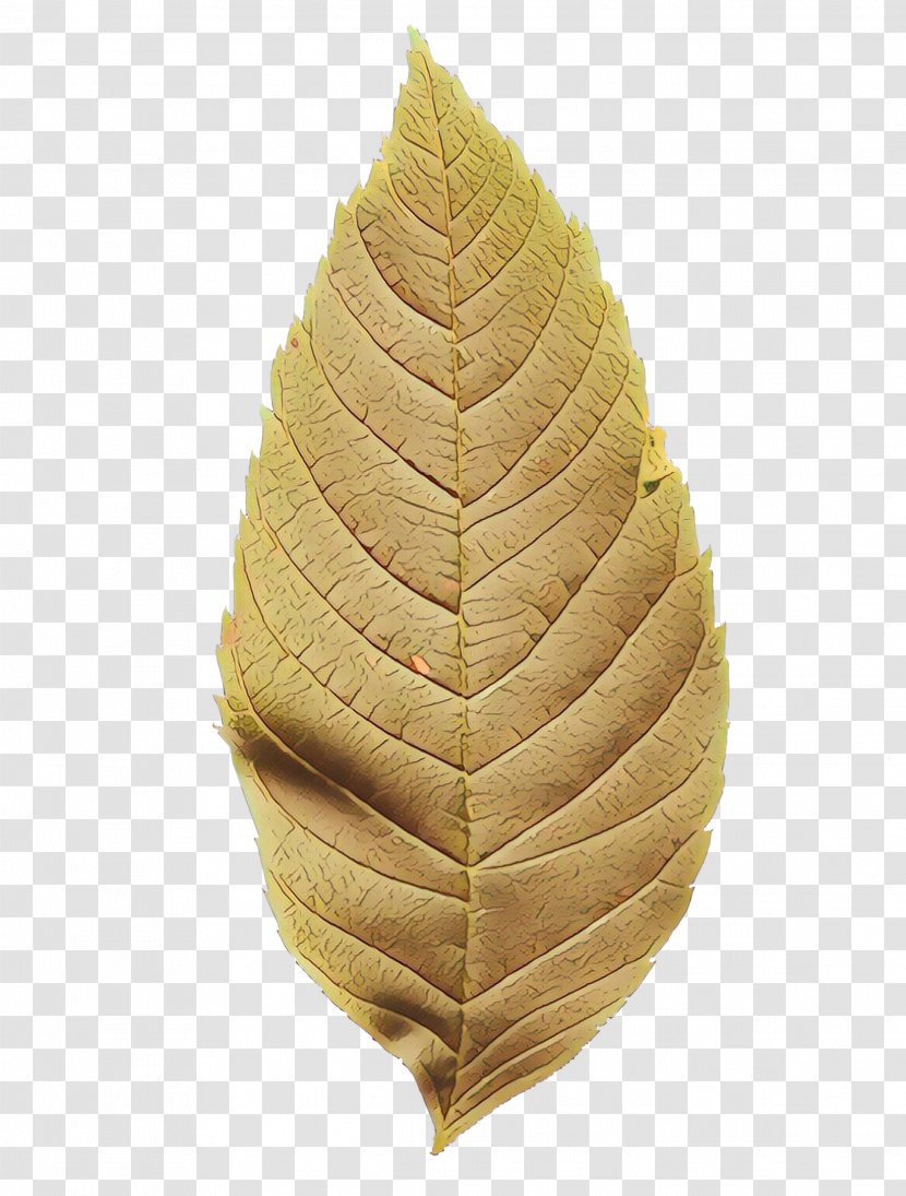 Leaf Commodity Transparent PNG