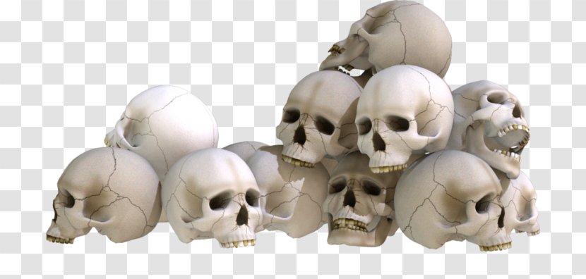 Skull Drawing - Jaw - Goat Transparent PNG