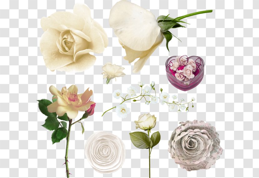 Garden Roses Cabbage Rose Floral Design Cut Flowers - Artificial Flower Transparent PNG