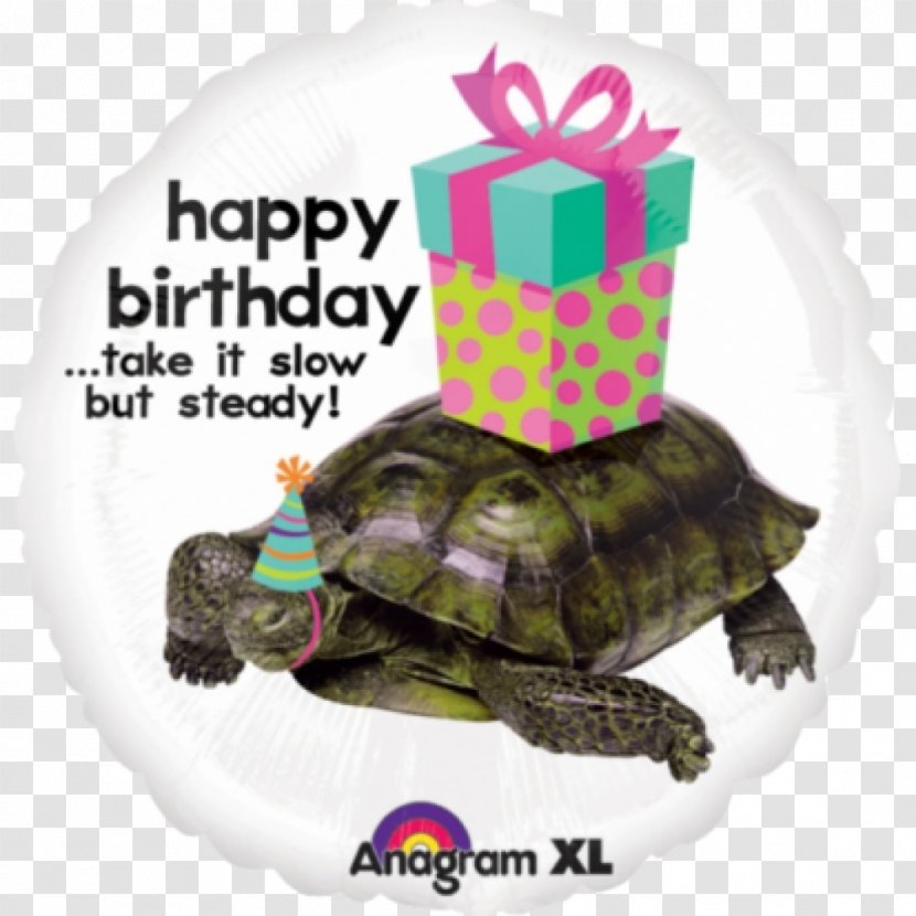 Turtle Birthday Tortoise Mylar Balloon - Romance Transparent PNG