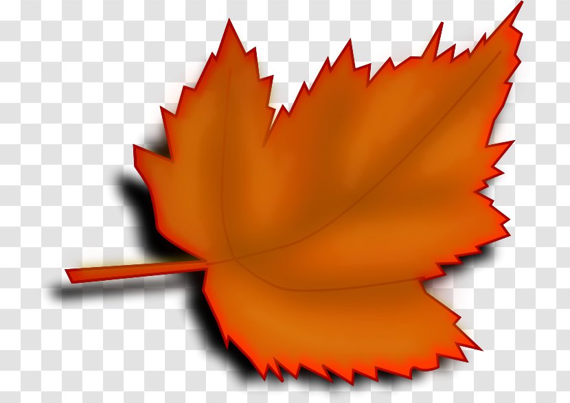 Autumn Leaf Color Maple Clip Art - Modified Transparent PNG