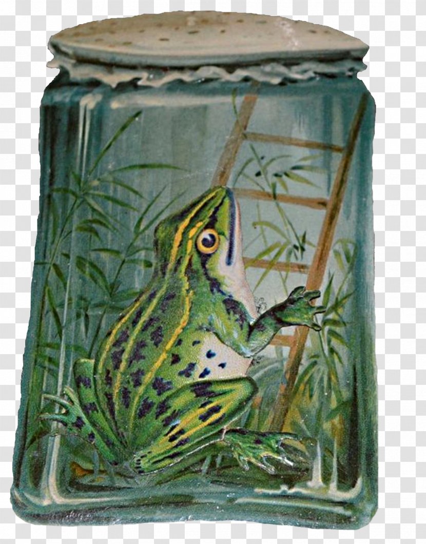 Kermit The Frog Amphibian Idea - Glass Transparent PNG