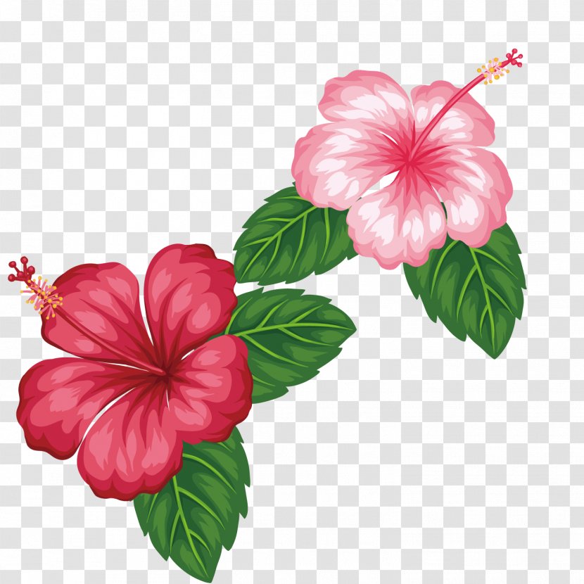 Royalty-free Flower Tropics Clip Art - Mallow Family - Red Flowers Transparent PNG