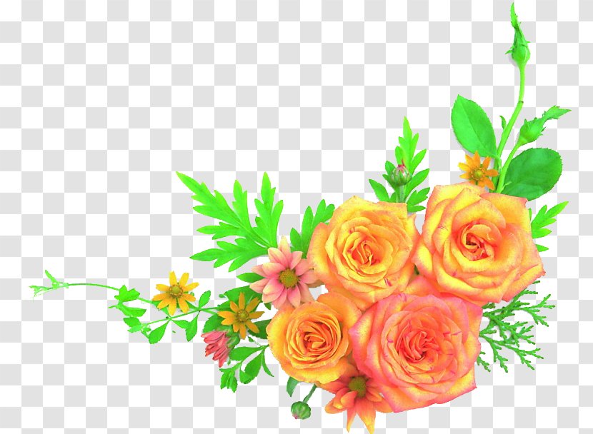 Garden Roses Mother's Day Flower Floral Design - Flowering Plant Transparent PNG