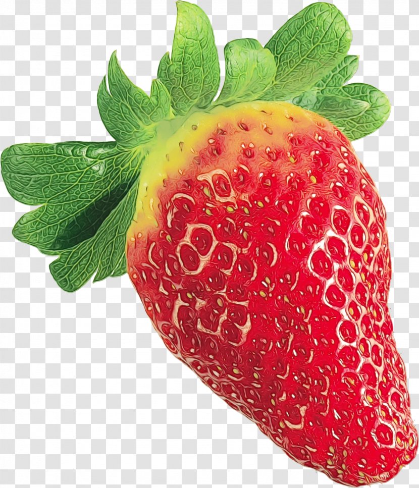 Strawberry Shortcake Cartoon - Wet Ink - Vegan Nutrition Superfood Transparent PNG