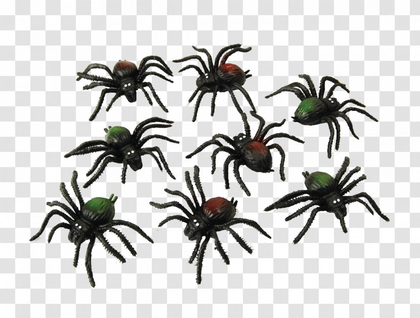 Spider Web Costume Party Halloween - Ants Transparent PNG