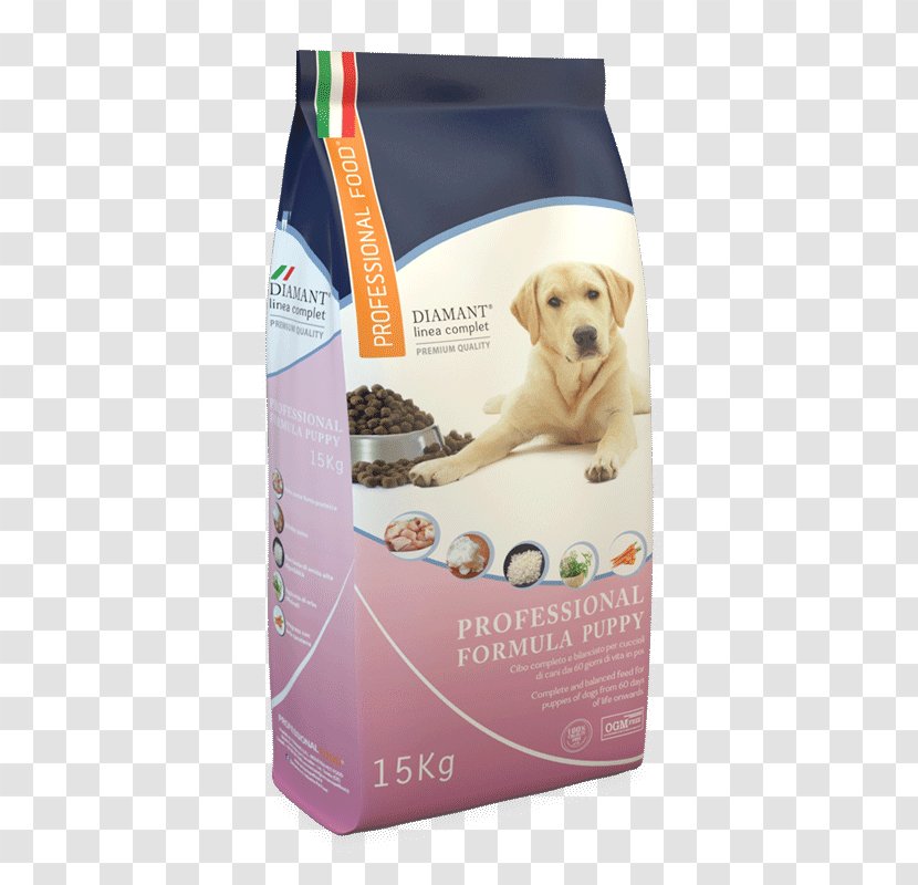 Puppy Dog Food Pet - Retriever - Spa Beauty And Wellness Centre Transparent PNG