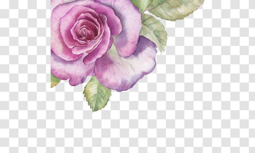 Watercolour Flowers Watercolor Painting Rose - Garden Roses - Hand-painted Purple Transparent PNG