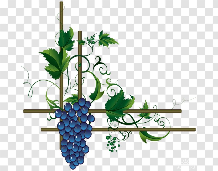 Wine Merlot Grape Leaves - Food Transparent PNG