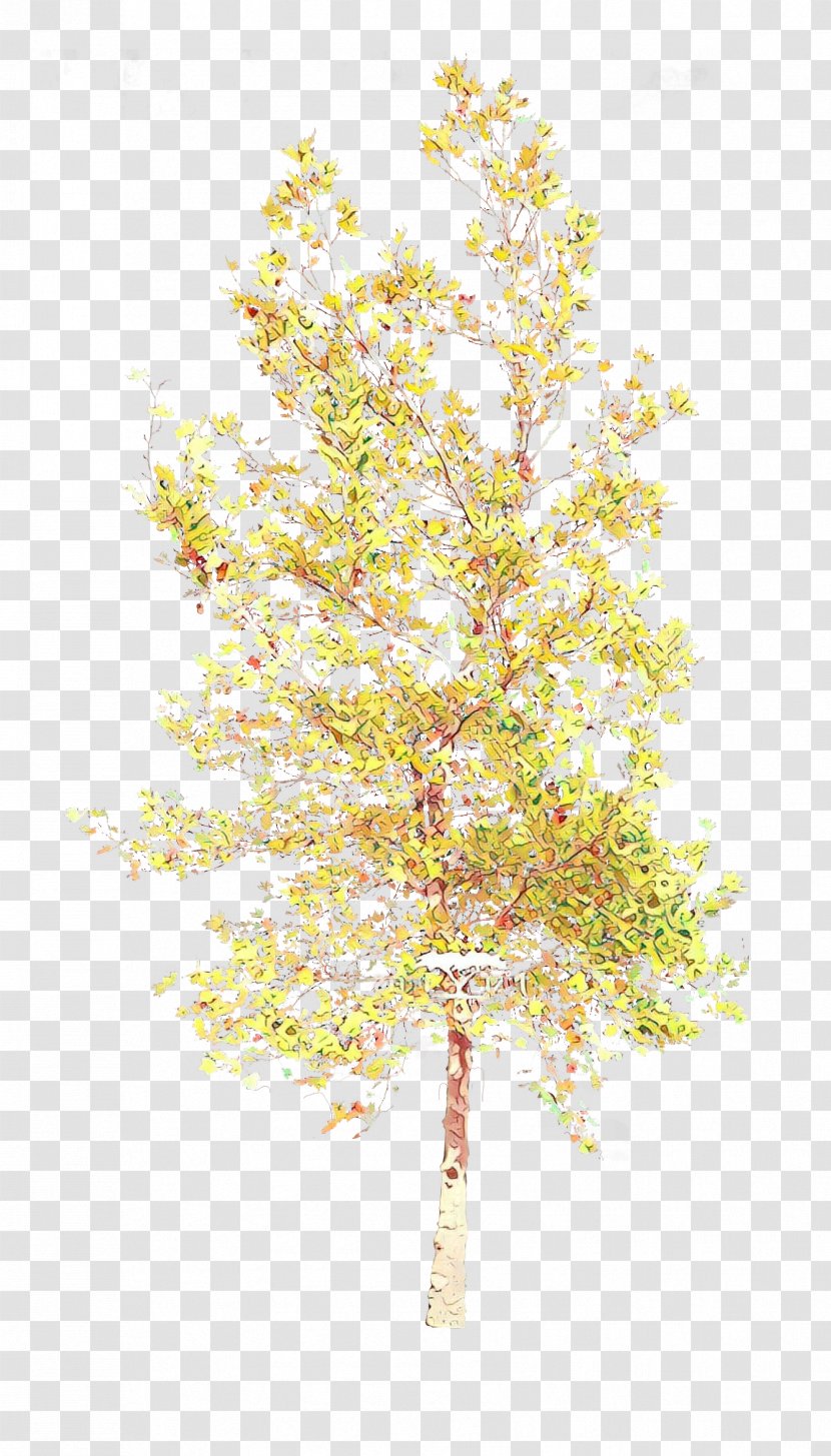 Tree Yellow Plant Branch Woody - Stem Flower Transparent PNG