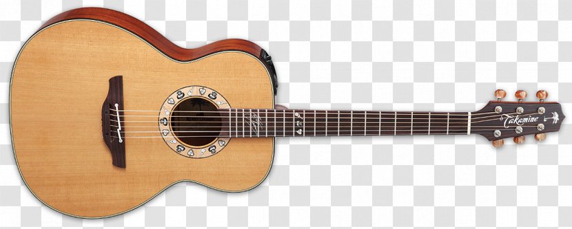 Takamine Guitars Acoustic-electric Guitar Acoustic Bass - Tree Transparent PNG