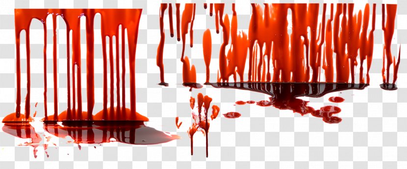 Blood Splatter Background - Photography - Red Blog Transparent PNG
