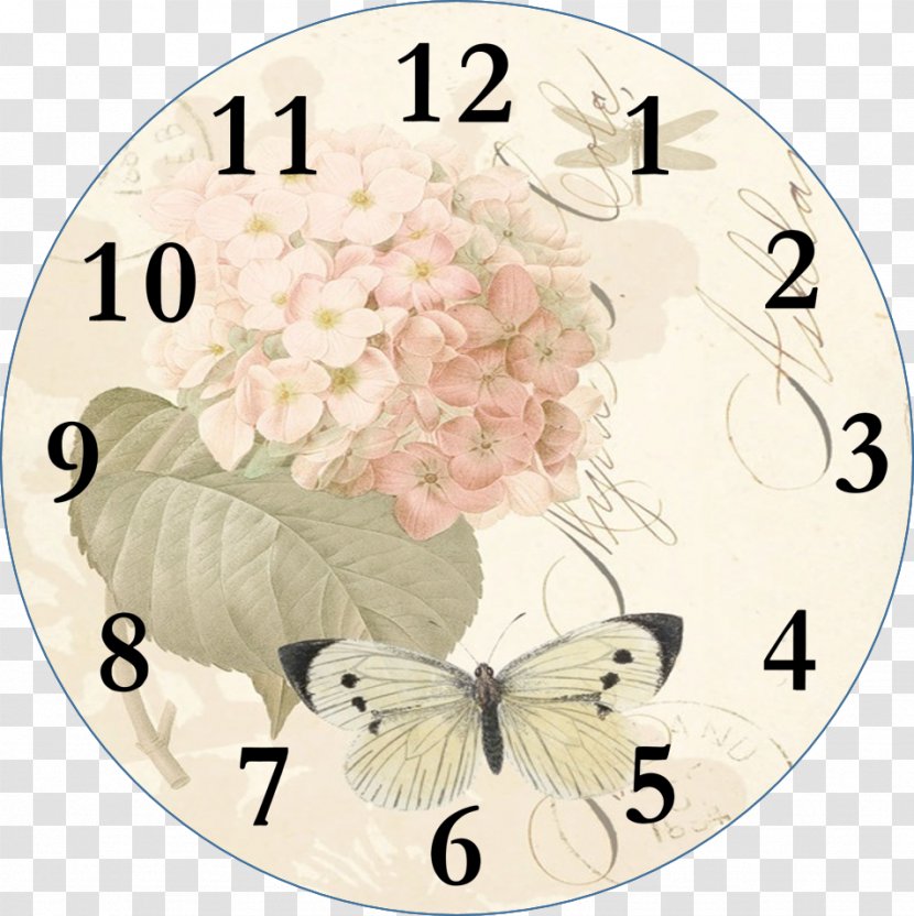 Clock Face Floral Floor & Grandfather Clocks Clip Art - Pile Of Poo Emoji Transparent PNG