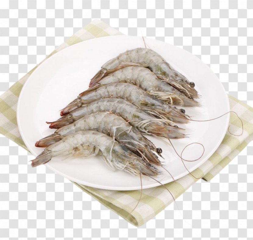 Pandalus Borealis Fried Rice Whiteleg Shrimp JD.com - Palinurus - Arctic Sweet Transparent PNG