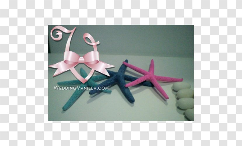 Bomboniere Place Cards Marriage Starfish White - Blue Transparent PNG