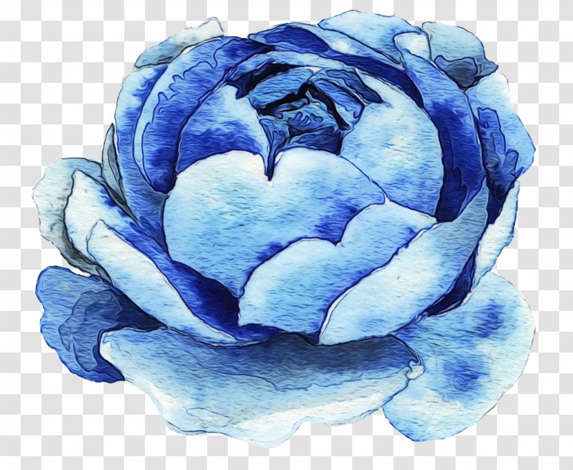 Blue Rose - Hydrangea Family Transparent PNG