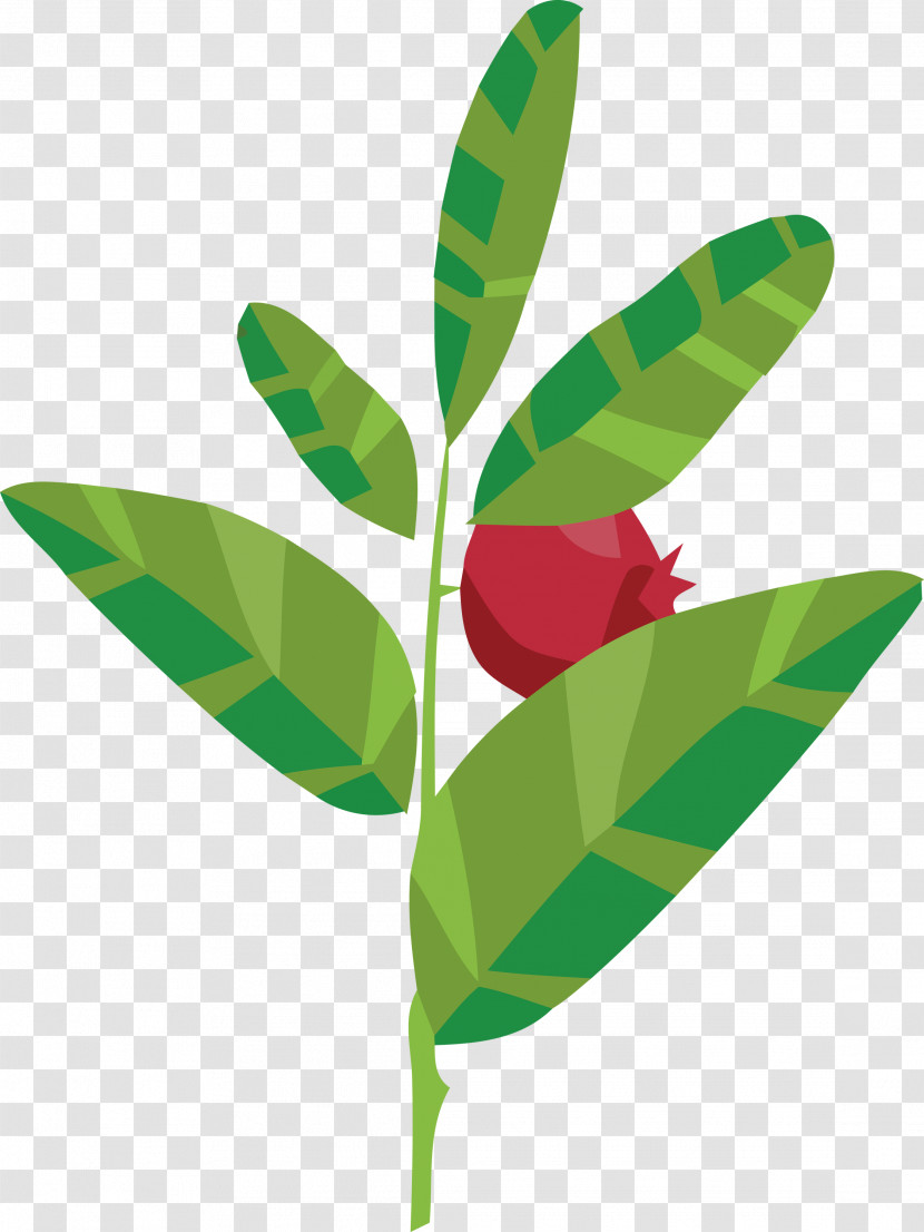 Leaf Plant Stem Plant Biology Science Transparent PNG