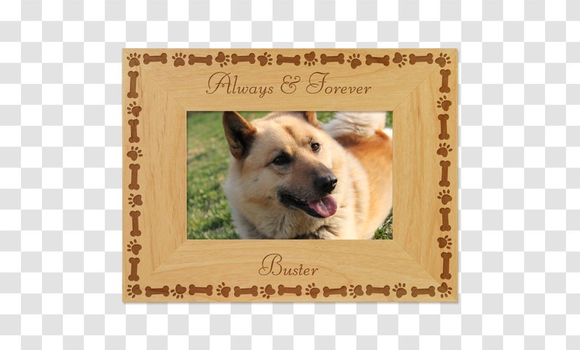 Dog Breed Icelandic Sheepdog Puppy Love Picture Frames Transparent PNG