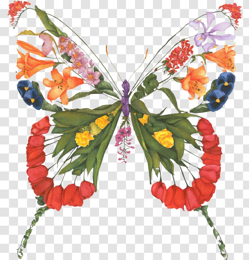 Painting Drawing Graphics Paper Butterfly Transparent PNG