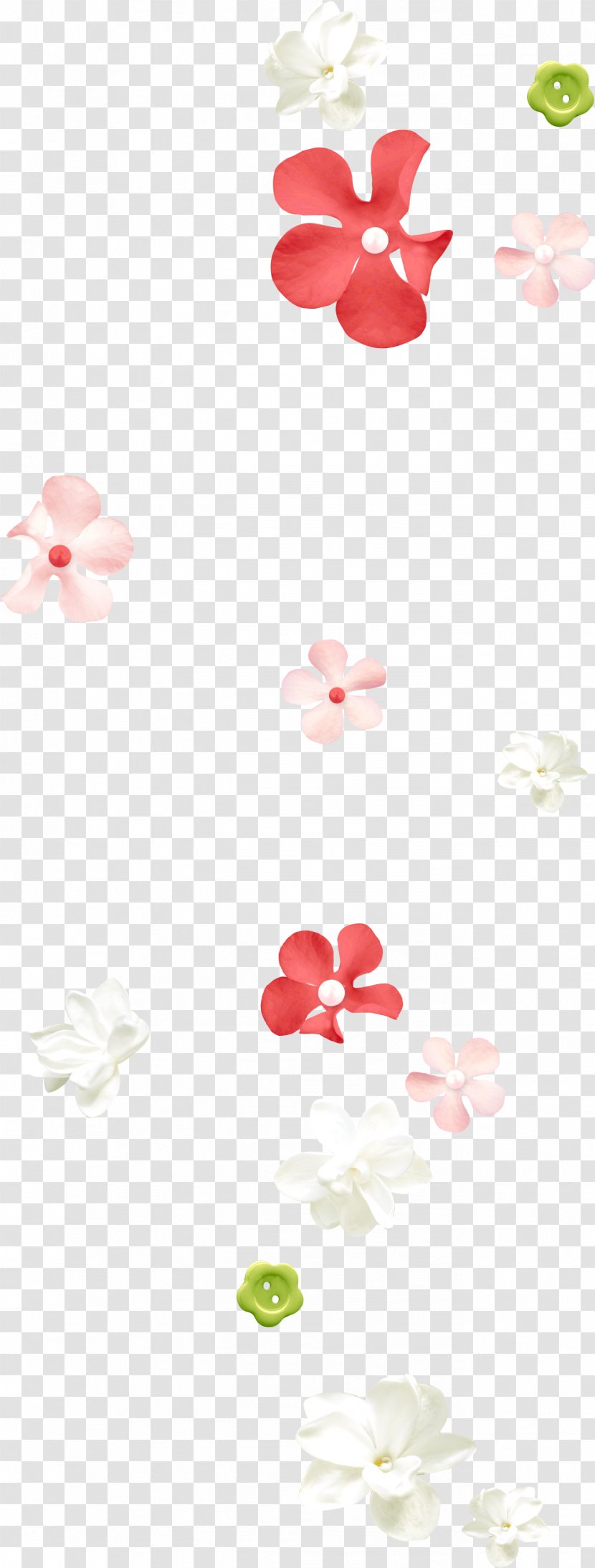 Flower Petal Placer Deposit - Drawing - Romantic Transparent PNG