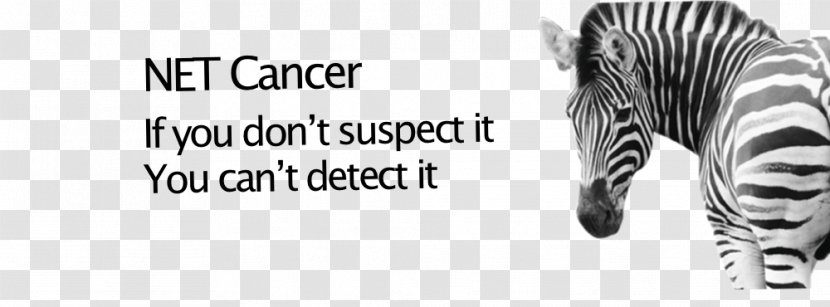 Neuroendocrine Tumor Zebra Cancer Carcinoid Awareness Ribbon - Monochrome - Cartoon Transparent PNG