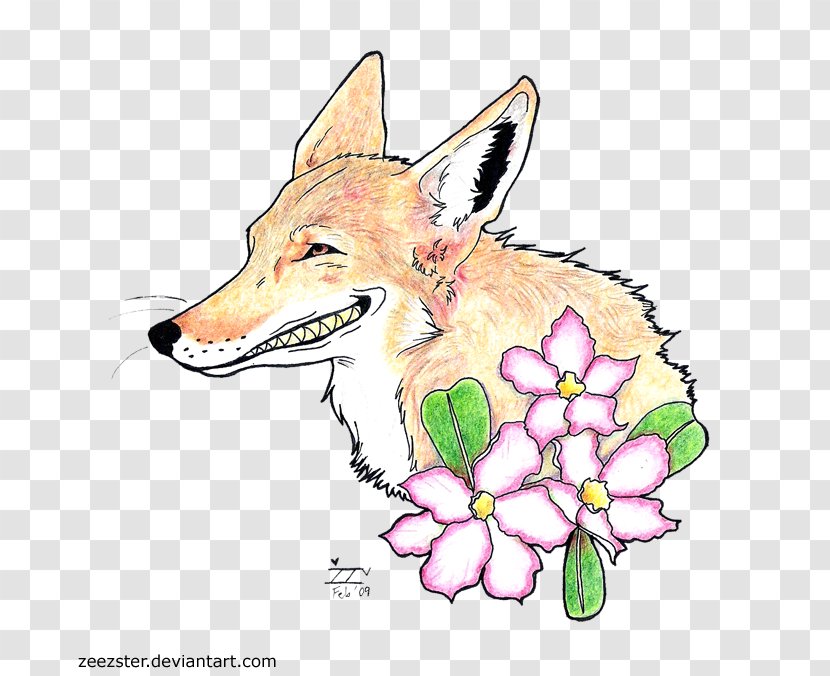 Red Fox Coyote Drawing Dog Wildlife - Snout Transparent PNG