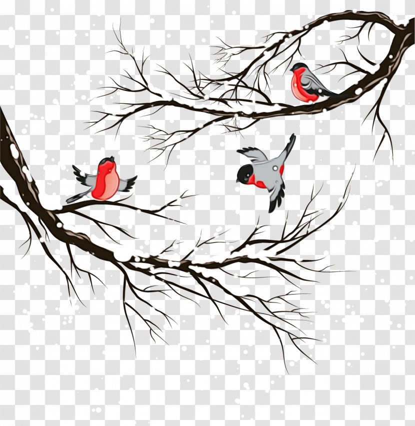 Bird Branch Beak Plant Line Art - Drawing - Perching Transparent PNG