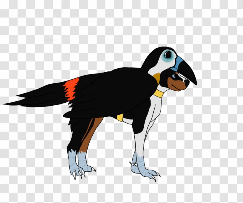 Penguin Beak Toucan Fauna Cartoon Transparent PNG