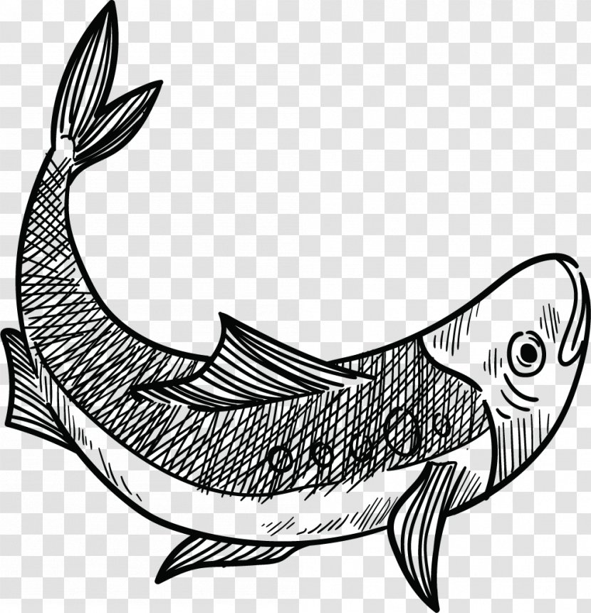Fish Euclidean Vector - Seafood - Jump Transparent PNG