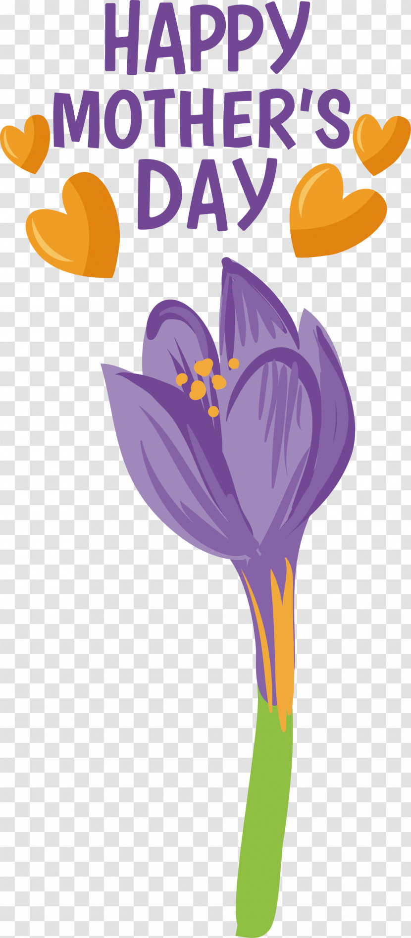 Flower Text Petal Lilac Plant Transparent PNG