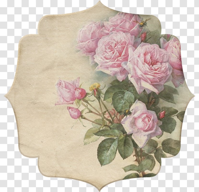 Zazzle Paper Rose Painting Flower Transparent PNG