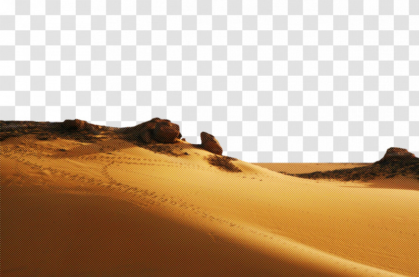 Singing Sand Meter Ecoregion Sand Erg Transparent PNG