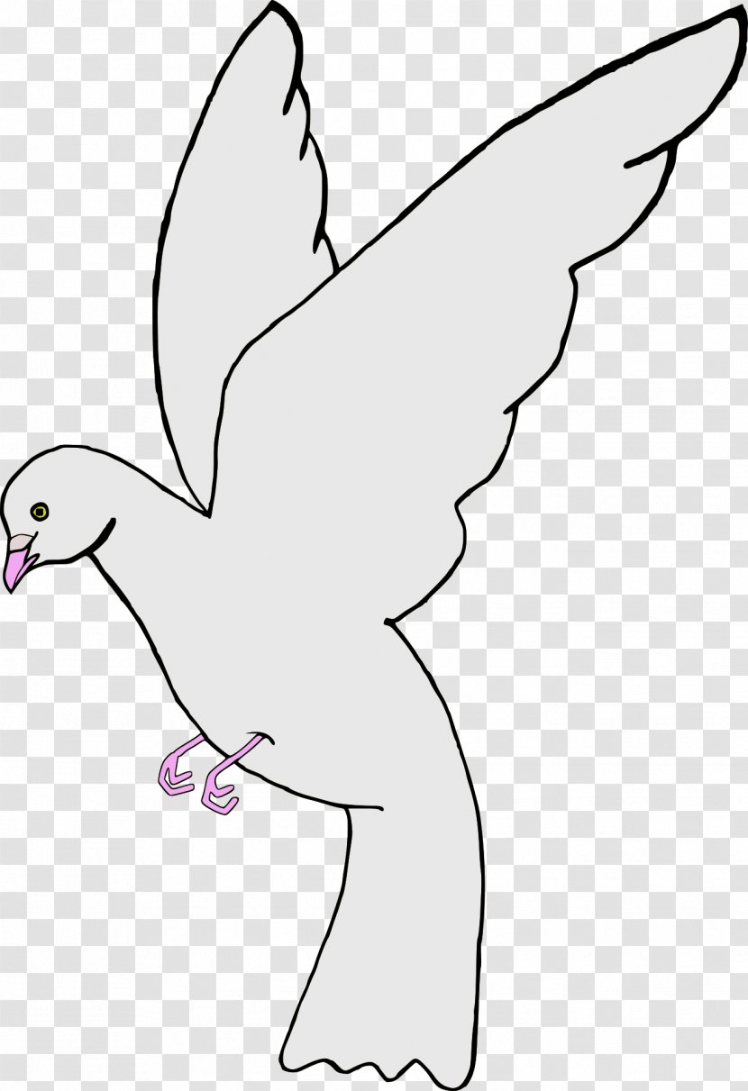 Typical Pigeons Clip Art - Wildlife - Pigeon Transparent PNG