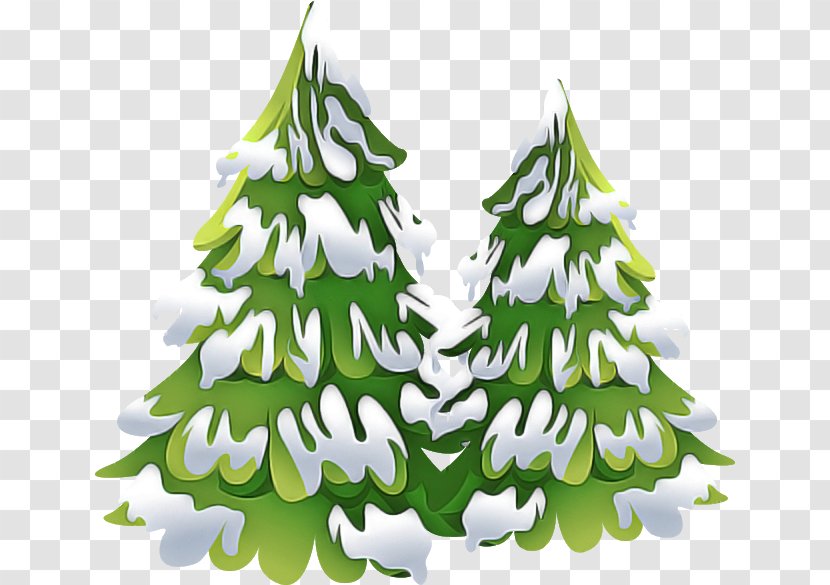 Christmas Tree - Oregon Pine - Spruce Shortleaf Black Transparent PNG