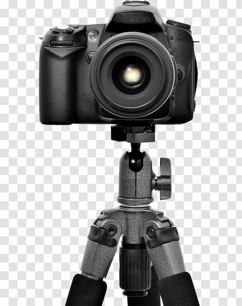 Camera Lens Photography Photographer Tripod - Videography Transparent PNG
