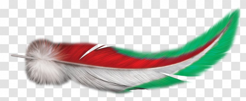 Feather - Beak Transparent PNG