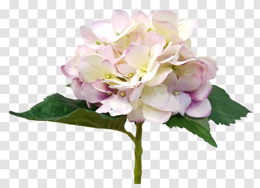 Hydrangea Cut Flowers Floral Design Flower Bouquet Pink - Wedding - Silk Hydrangeas Transparent PNG