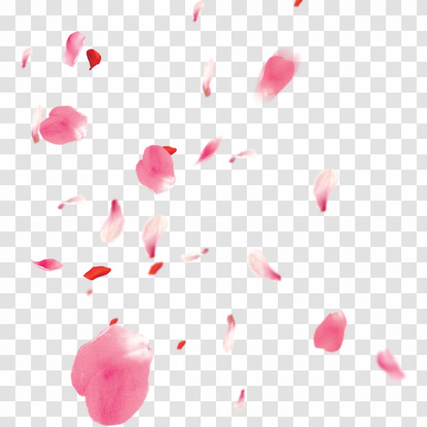 Petal Cherry Blossom - Free Floating Petals Pull Material Transparent PNG