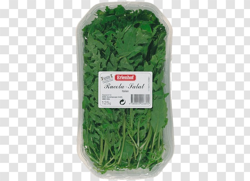 Leaf Vegetable Herb Arugula - Rucola Transparent PNG