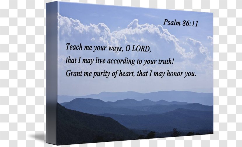 New International Version Psalms Keyword Research Google Trends Biblica - Search - Psalm Transparent PNG