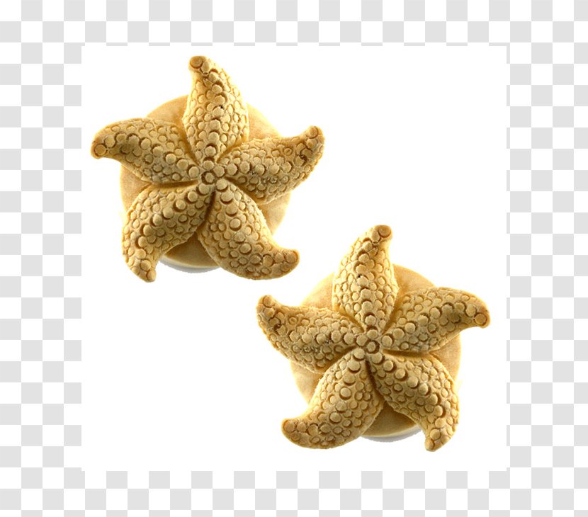 Starfish Plug Wood Carving Stuffed Animals & Cuddly Toys - Echinoderm Transparent PNG