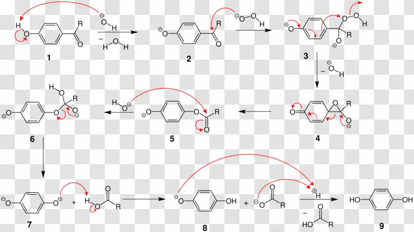 Dakin Oxidation Redox Hydrogen Peroxide Copper(II) Sulfate Hydroquinone - White - Reaction Mechanism Transparent PNG