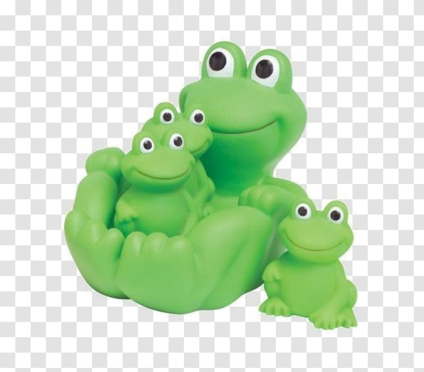 Amazon.com Frog Toy Bathtub Family - Toddler Transparent PNG