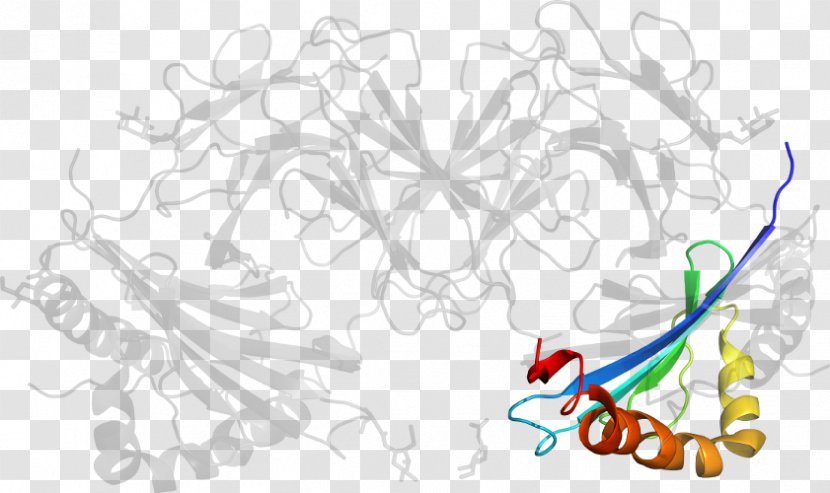 Drawing Line Art /m/02csf Clip - Tree - Major Histocompatibility Complex Transparent PNG