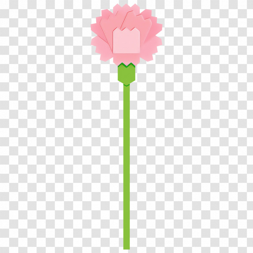 Carnation Flower Transparent PNG