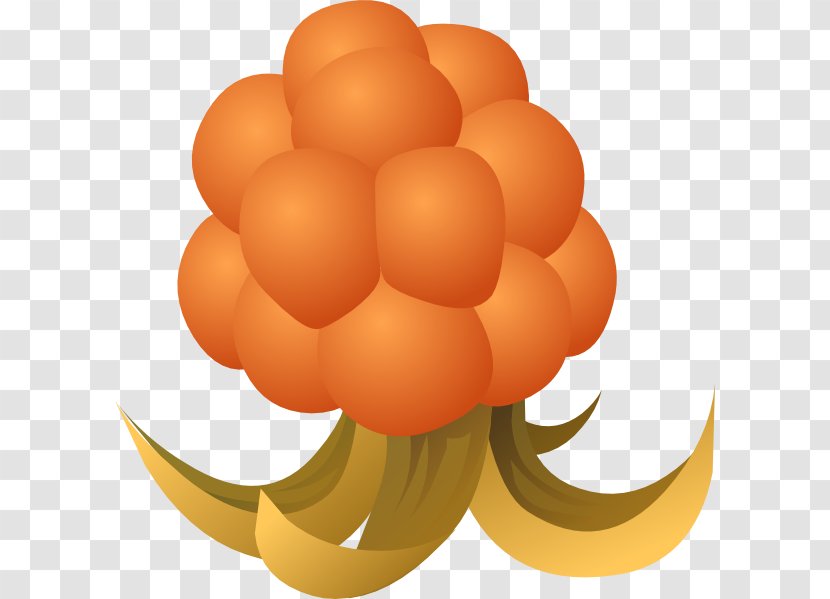Cloudberry Drawing Clip Art - Berry - Guava Transparent PNG