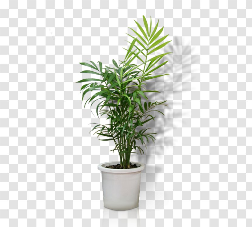 Flowerpot Crock Houseplant Bonsai - Vase - Potted Transparent PNG