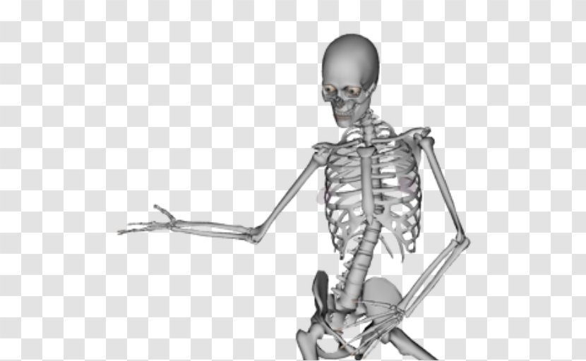Human Skeleton Skull Dance Bone - Watercolor Transparent PNG