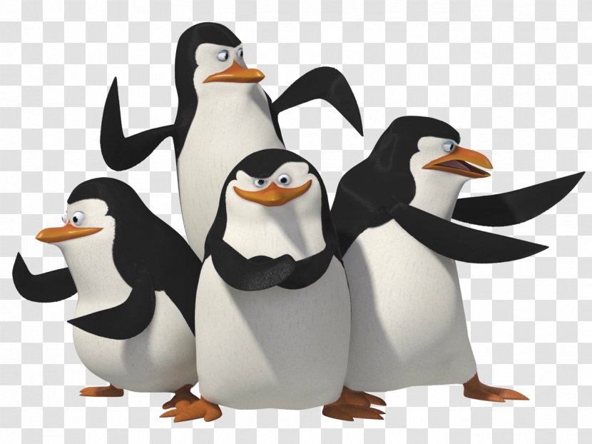 Skipper Penguin Madagascar Clip Art - Beak - Penguins Transparent PNG