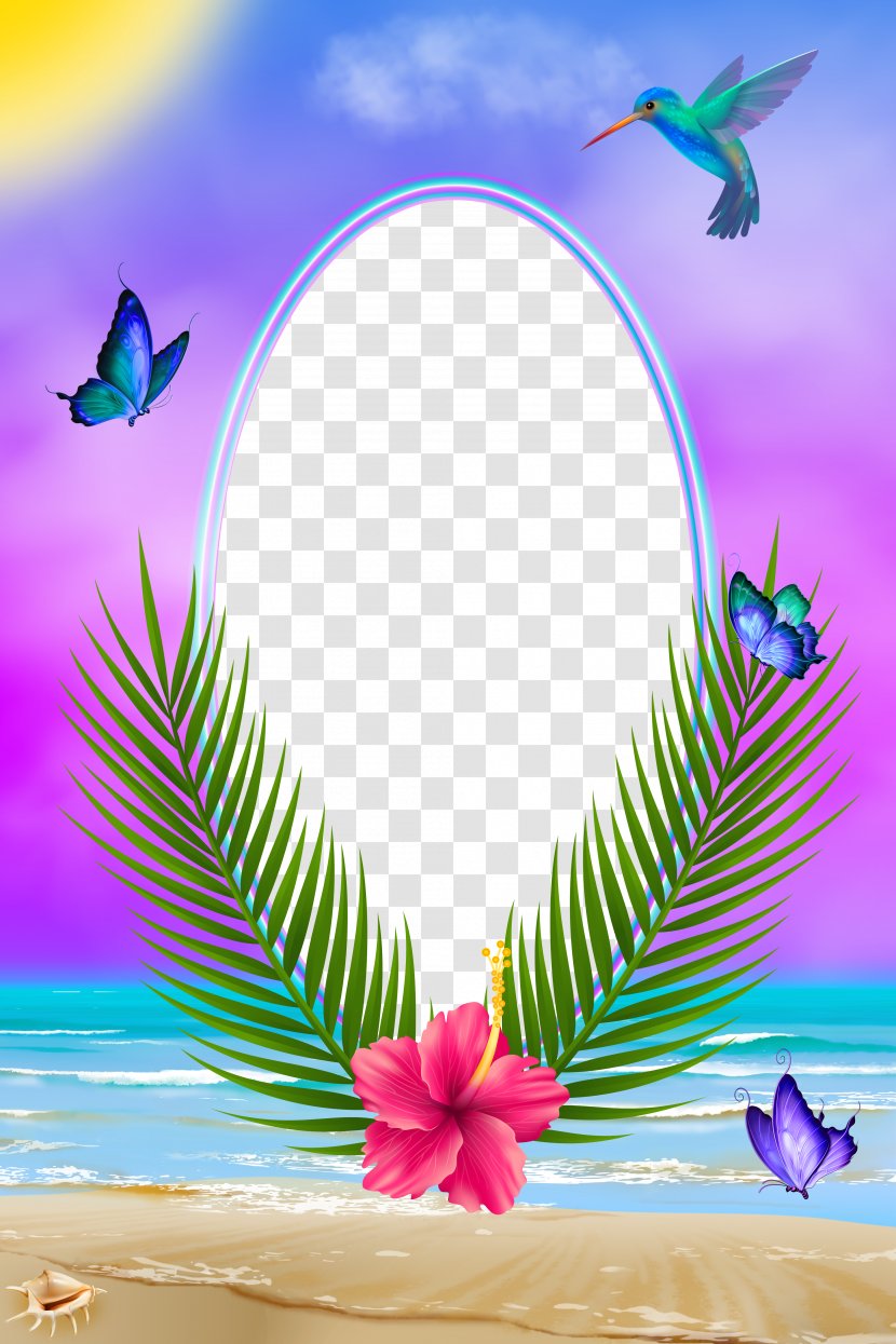 Picture Frames Desktop Wallpaper Photography Clip Art - Flower - Summer Transparent PNG